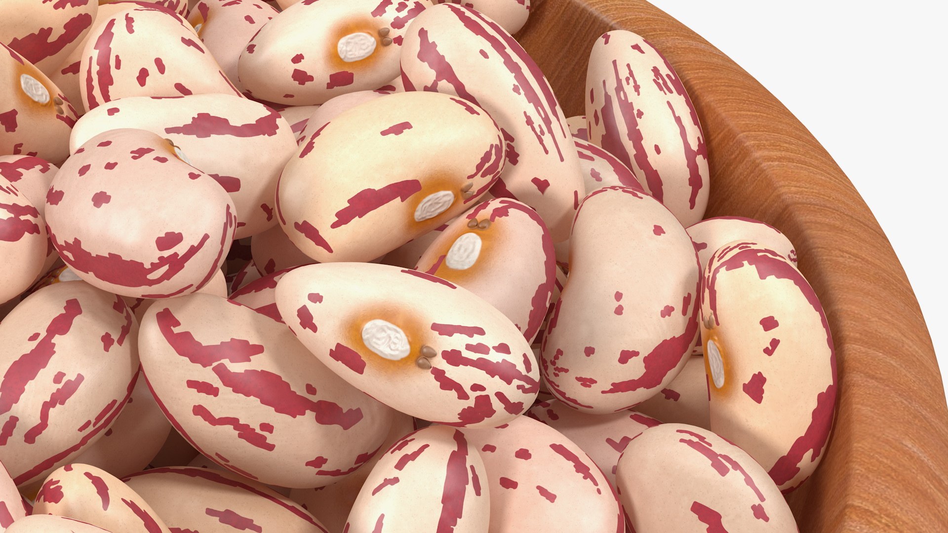 Beans and Seeds in a Bowl Collection 2 3D https://p.turbosquid.com/ts-thumb/KX/jP3oui/MX/beansandseedsinabowlcollection23dmodel034/jpg/1634504004/1920x1080/fit_q87/12af14b83decd221f02cf273f6247d1d9bd701b7/beansandseedsinabowlcollection23dmodel034.jpg