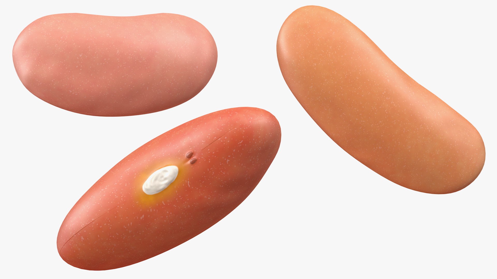 Beans and Seeds in a Bowl Collection 2 3D https://p.turbosquid.com/ts-thumb/KX/jP3oui/rW/beansandseedsinabowlcollection23dmodel011/jpg/1634503949/1920x1080/fit_q87/eaad491e984795c008a23388086a0cfe29db671b/beansandseedsinabowlcollection23dmodel011.jpg