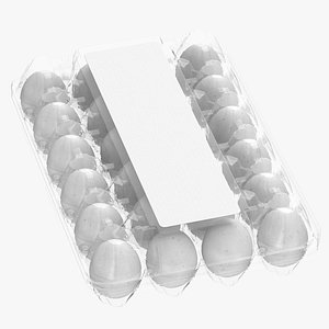 Plastic Carton of Eggs 24 White Brown Blank and Generic Label