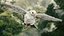 Paloma Blanca - Sistema de Vuelo - Comportamiento de las Aves
