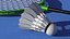 Badminton Feather Shuttlecock