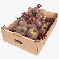 Harvest Beetroots in Storage Box Burgundy