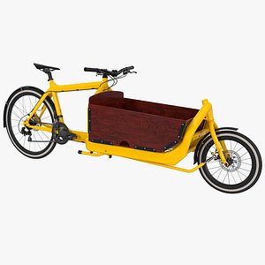 Cargo Bike with Box