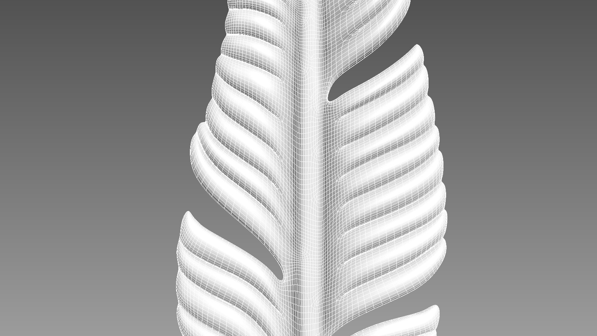 3D Feather - TurboSquid 2119263