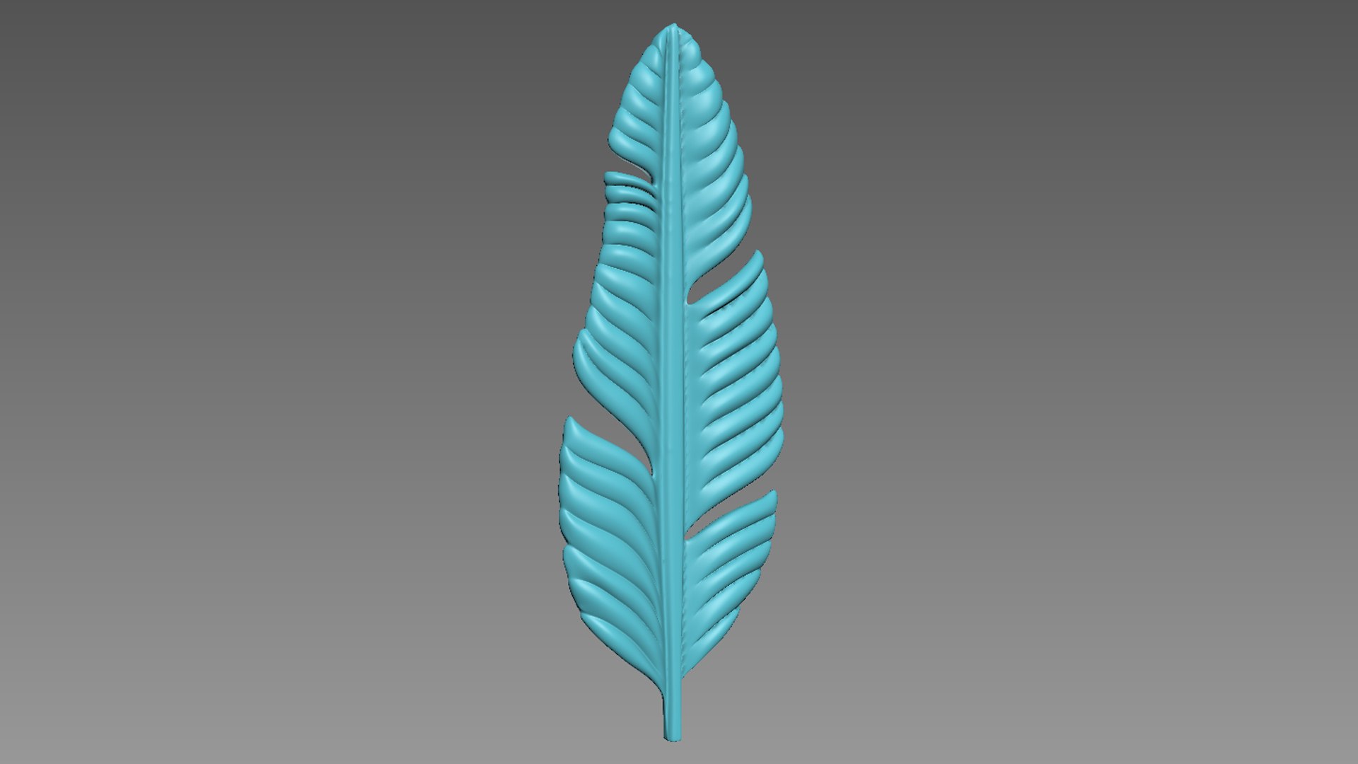 3D Feather - TurboSquid 2119263