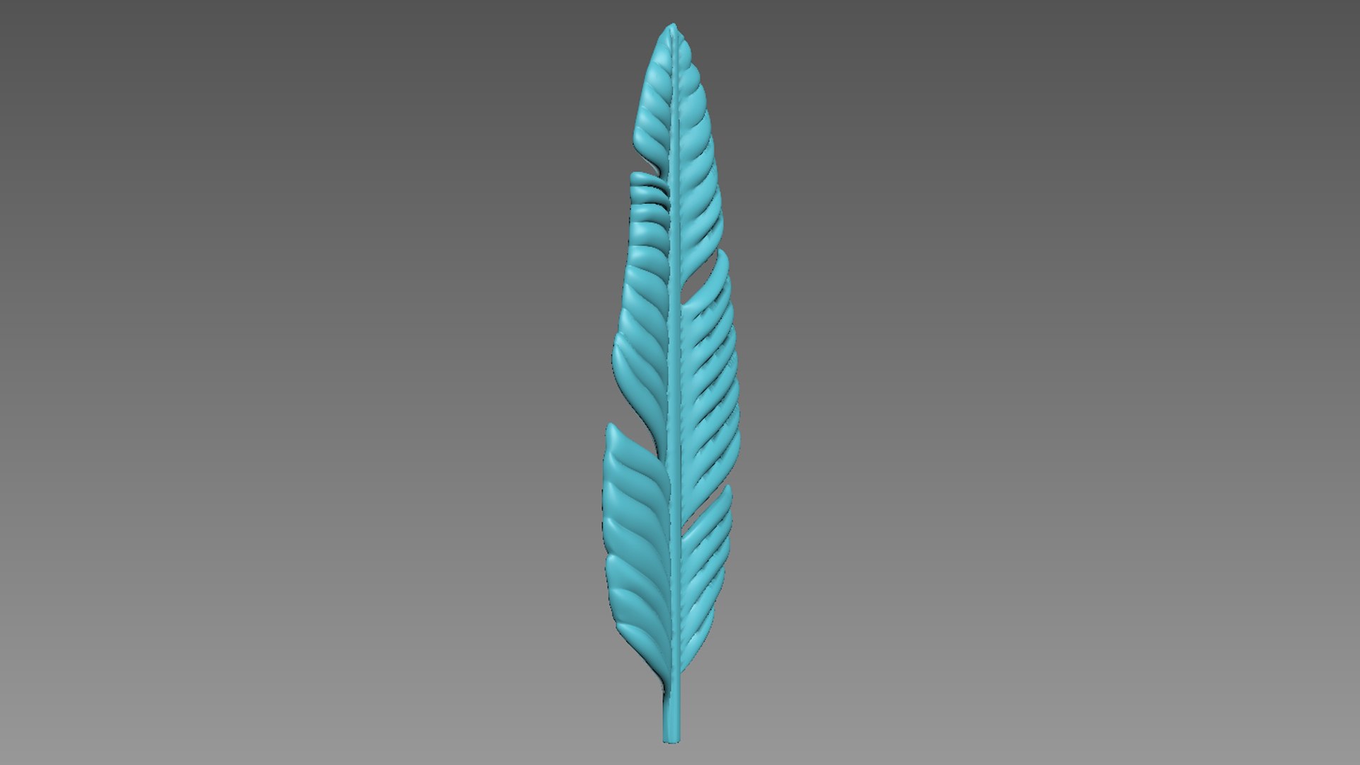 3D Feather - TurboSquid 2119263