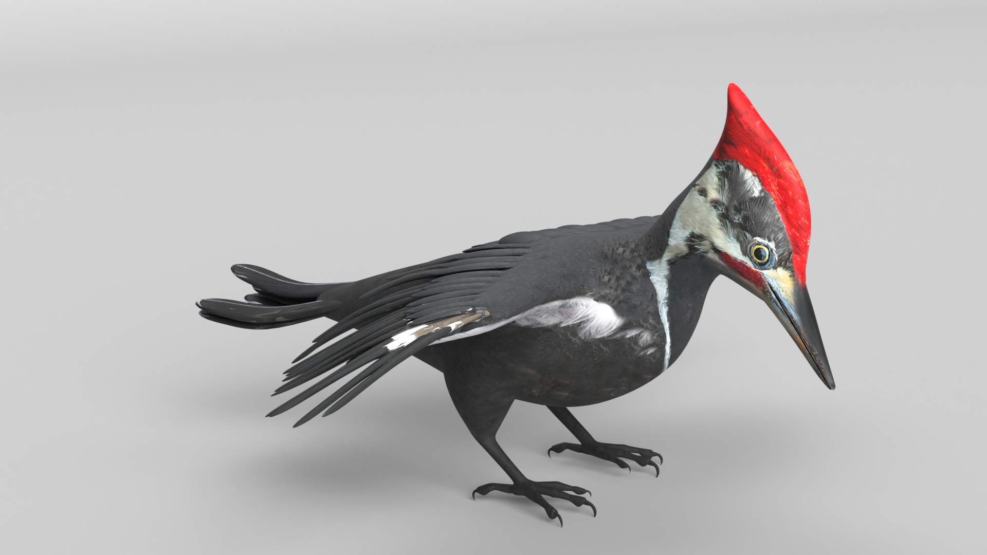 3D gorilla owl ostrich https://p.turbosquid.com/ts-thumb/KY/4ZN6tv/iI/woodpecker_images/png/1610657653/1920x1080/turn_fit_q99/73bf28dd4e7864822b48c651a36da76c77dad71b/woodpecker_images-1.jpg