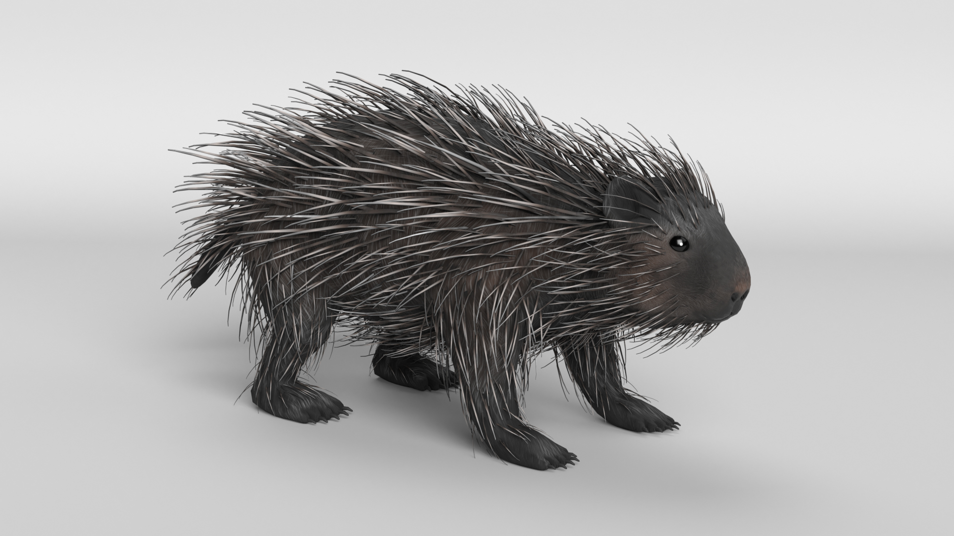 3D gorilla owl ostrich https://p.turbosquid.com/ts-thumb/KY/4ZN6tv/lV/porcupine_images/png/1610659281/1920x1080/turn_fit_q99/3bf02cc449d9d402012d4ce5123ff539da664b4d/porcupine_images-1.jpg