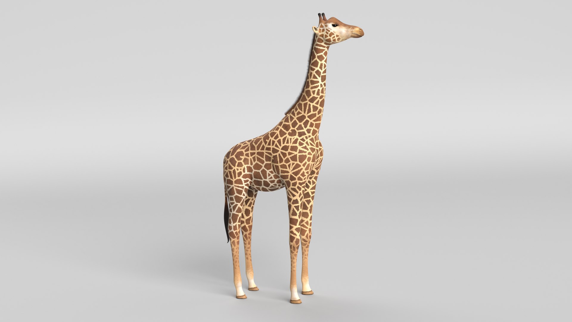 3D gorilla owl ostrich https://p.turbosquid.com/ts-thumb/KY/4ZN6tv/m5/giraffe_thumbnail_colored/png/1610658364/1920x1080/fit_q87/9f3fd741e6dadb80f0cb527a6a3e9db8fd6740d6/giraffe_thumbnail_colored.jpg