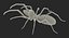 3D Rigged Spiders Collection 3 for Cinema 4D