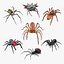 3D Rigged Spiders Collection 3 for Cinema 4D