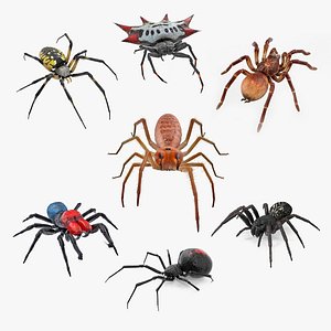 Rigged Spiders Collection 3 for Cinema 4D