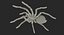 3D Rigged Spiders Collection 3 for Cinema 4D