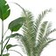 Collecte de plantes 143