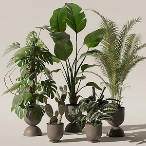 Plants collection 143 3D model