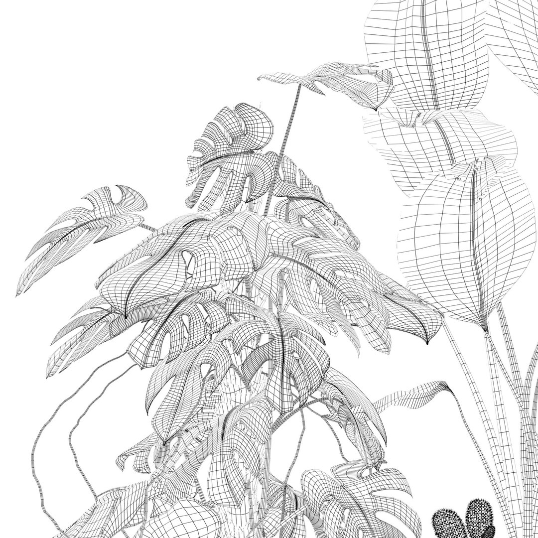 Plants collection 143 3D model https://p.turbosquid.com/ts-thumb/KY/GC4AH7/Im/12/jpg/1664963573/1920x1080/fit_q87/8639d47ce5f13a31a4c77d0dd3a719a30ccb0b69/12.jpg