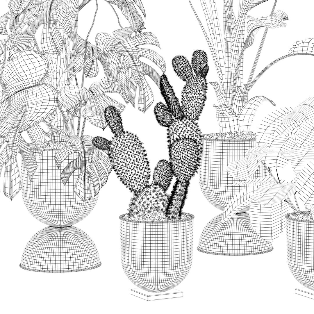 Plants collection 143 3D model https://p.turbosquid.com/ts-thumb/KY/GC4AH7/Vv/6/jpg/1664963571/1920x1080/fit_q87/0d50cb7eac8df7a74056ac2db1649c54bebb4630/6.jpg