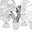 Collecte de plantes 143