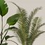 Collecte de plantes 143