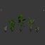 Collecte de plantes 143