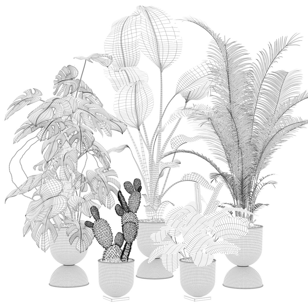 Plants collection 143 3D model https://p.turbosquid.com/ts-thumb/KY/GC4AH7/cU/5/jpg/1664963569/1920x1080/fit_q87/e01479c94c96d8e22b4818c606201269c84e8cbb/5.jpg