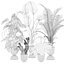 Collecte de plantes 143