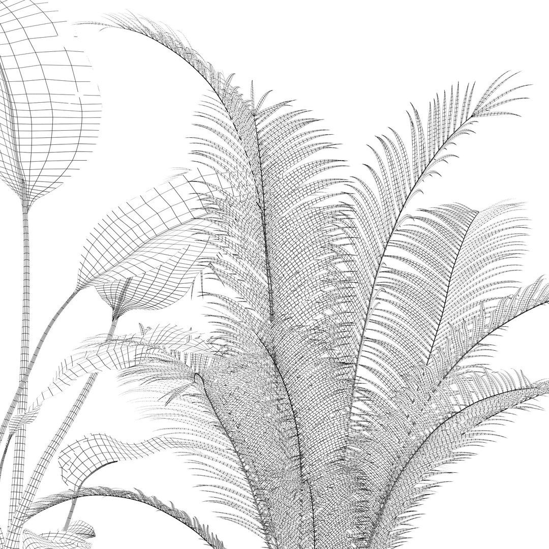 Plants collection 143 3D model https://p.turbosquid.com/ts-thumb/KY/GC4AH7/lU/18/jpg/1664963557/1920x1080/fit_q87/549624e692404add19a36b5fa1fcd05ea3620e3d/18.jpg