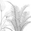 Collecte de plantes 143