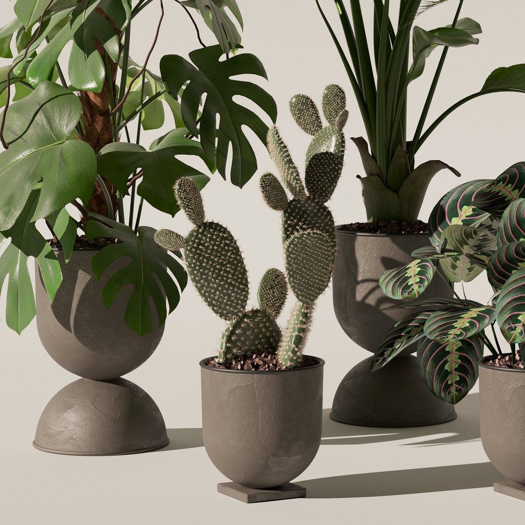 Plants collection 143 3D model https://p.turbosquid.com/ts-thumb/KY/GC4AH7/nO/10/jpg/1664963573/1920x1080/fit_q87/56e3a0ad5df0ec2012afb75969742f007e7f7687/10.jpg