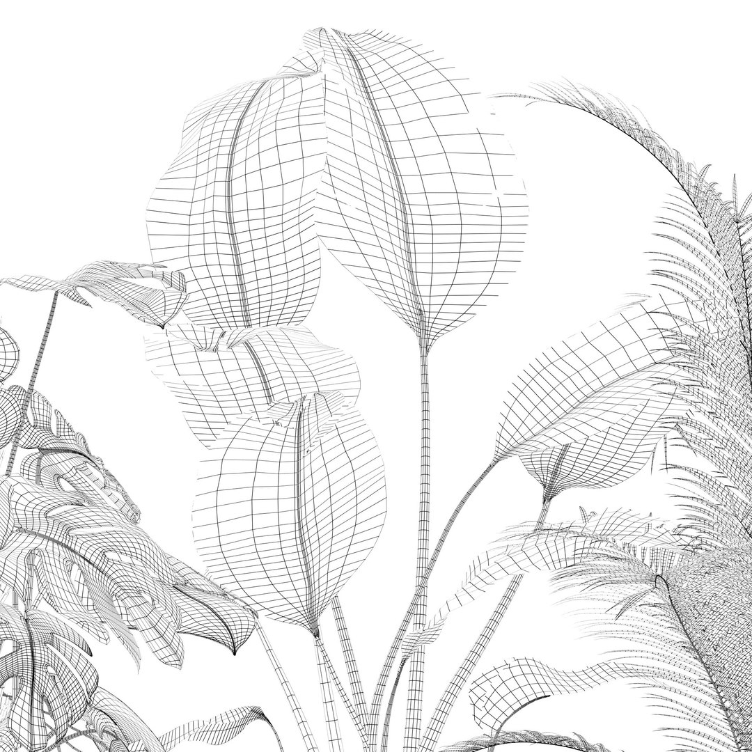 Plants collection 143 3D model https://p.turbosquid.com/ts-thumb/KY/GC4AH7/nV/15/jpg/1664963575/1920x1080/fit_q87/d17b689176d1eca77356f131ca28bc6f9b0820f9/15.jpg