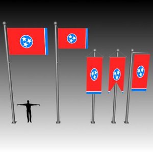 flag u 3d model