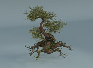 3D Chinese banyan  Ancestral old tree model