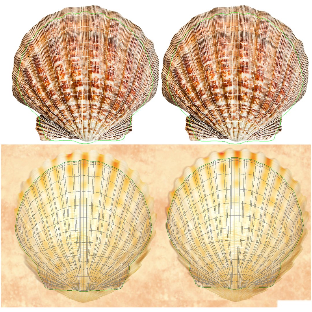 3d 3ds pearl shell https://p.turbosquid.com/ts-thumb/KY/NoFnhF/3F3xITOP/pearlinshell_3/jpg/1390951912/1920x1080/fit_q87/d7a2785c331e2acaa0bd6a4cd055f77f5b43603c/pearlinshell_3.jpg