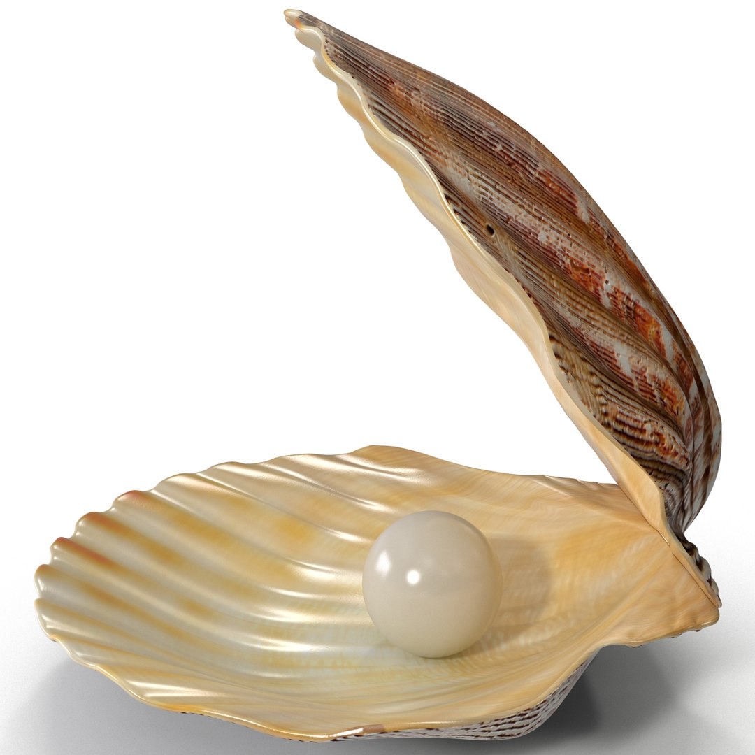3d 3ds pearl shell https://p.turbosquid.com/ts-thumb/KY/NoFnhF/3KKIDd0H/pearlinshell_10/jpg/1390951937/1920x1080/fit_q87/c7c9d58baaa932a631f8a9cadbdaf977f1bd25e1/pearlinshell_10.jpg