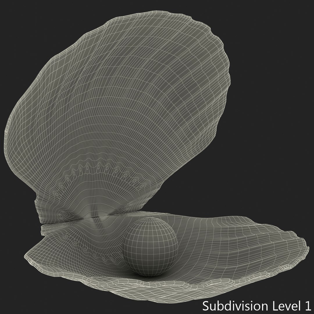 3d 3ds pearl shell https://p.turbosquid.com/ts-thumb/KY/NoFnhF/AA0ejOhv/pearlinshell_6/jpg/1390951923/1920x1080/fit_q87/a749fa2cb29d5a717909fba4a75758f27f6aff62/pearlinshell_6.jpg