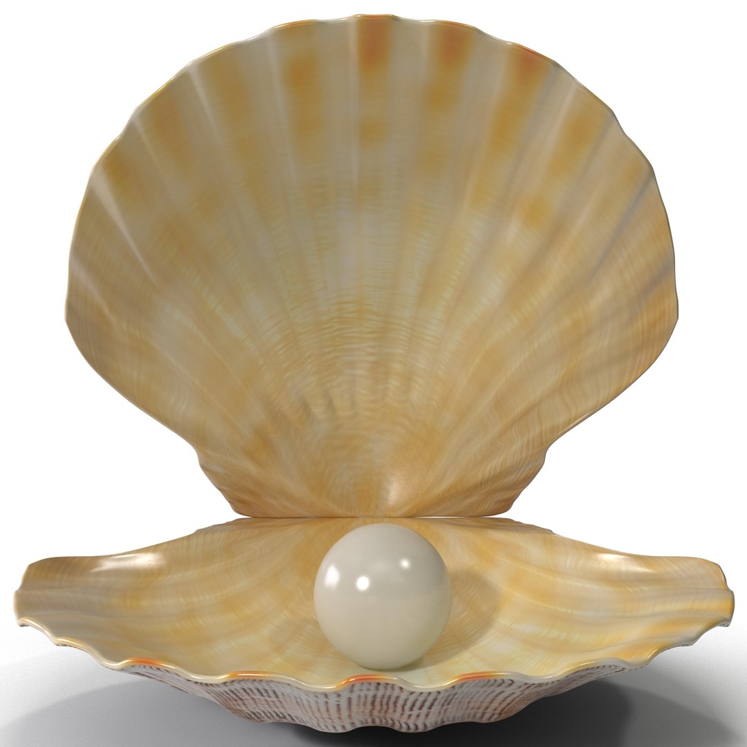 3d 3ds pearl shell https://p.turbosquid.com/ts-thumb/KY/NoFnhF/LHuZwxAY/pearlinshell_9/jpg/1390951934/1920x1080/fit_q87/517760c0a208444ac1a22ab6bf2ad7608db8b490/pearlinshell_9.jpg
