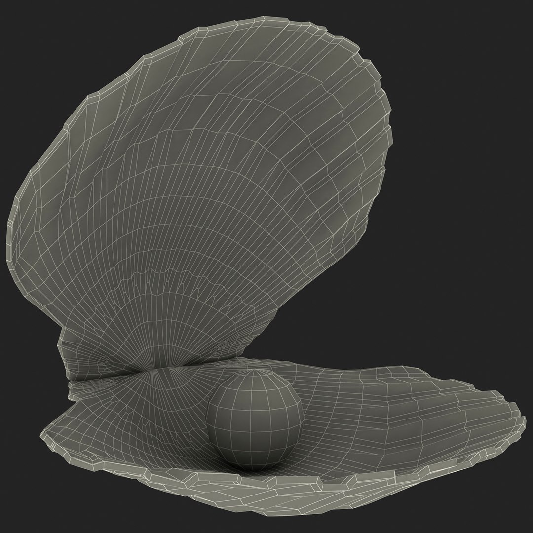 3d 3ds pearl shell https://p.turbosquid.com/ts-thumb/KY/NoFnhF/ODi2pSms/pearlinshell_165/jpg/1390952494/1920x1080/fit_q87/90b69e67bfe32ff385353d161d07003e631de5ea/pearlinshell_165.jpg