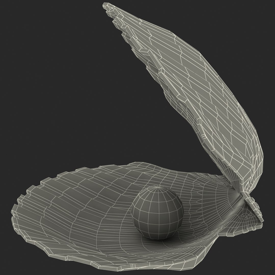 3d 3ds pearl shell https://p.turbosquid.com/ts-thumb/KY/NoFnhF/hoH6Ix8c/pearlinshell_167/jpg/1390952501/1920x1080/fit_q87/89242535dd89356ec5a3743b239c7e9f3c5f2f94/pearlinshell_167.jpg