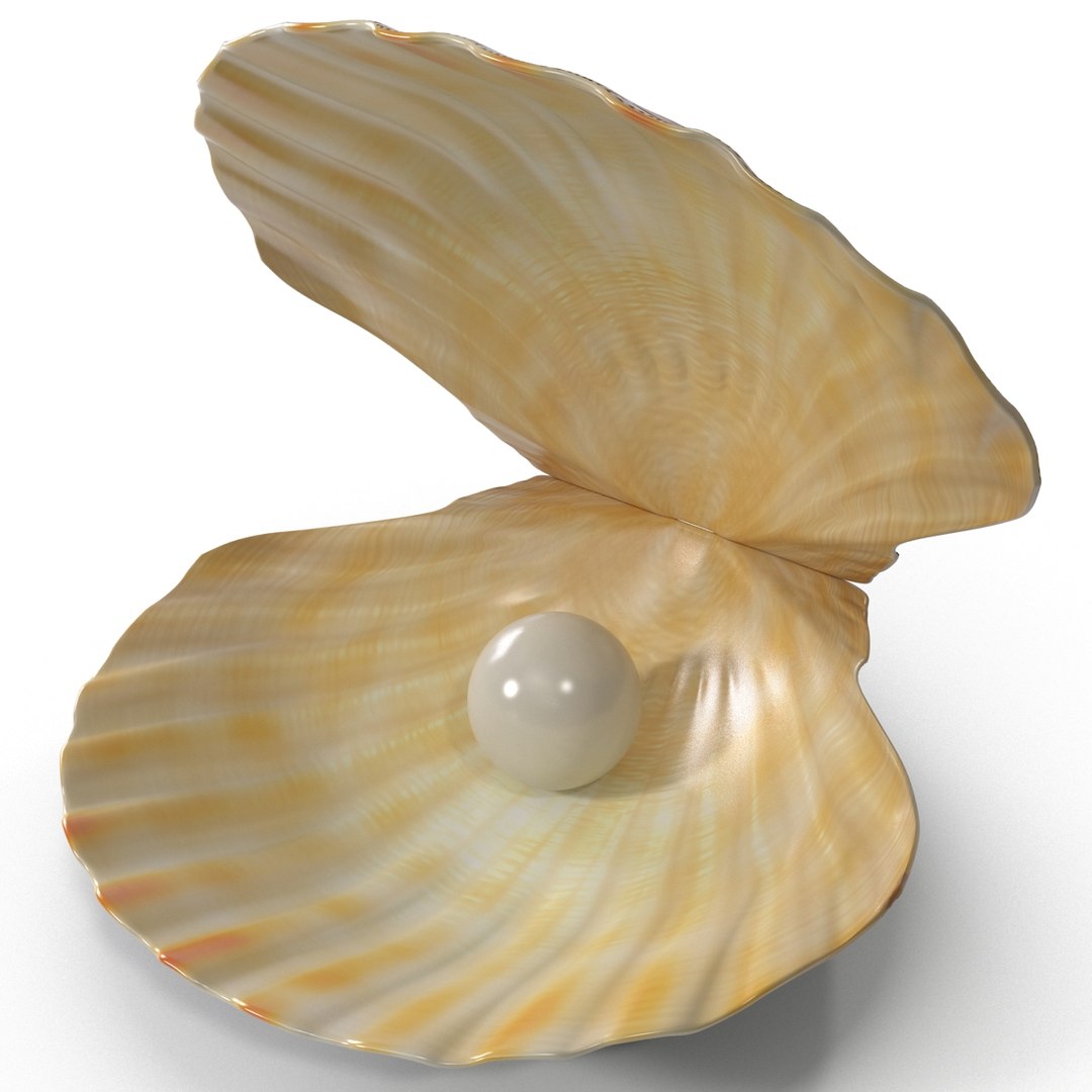 3d 3ds pearl shell https://p.turbosquid.com/ts-thumb/KY/NoFnhF/nObHMBub/pearlinshell_13/jpg/1390951948/1920x1080/fit_q87/4eeb377accda56cb5200956d0eff86388ae7e99d/pearlinshell_13.jpg