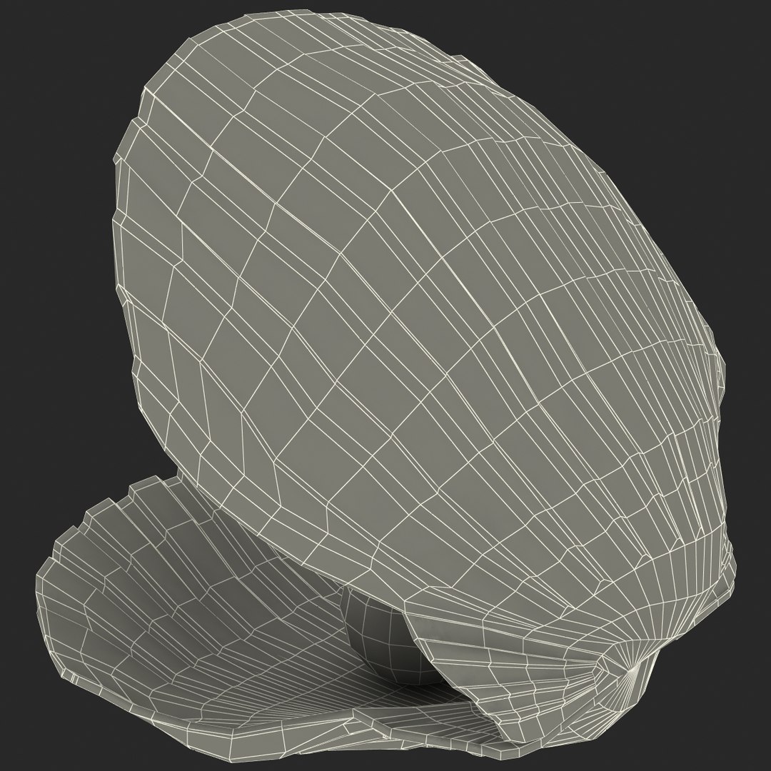 3d 3ds pearl shell https://p.turbosquid.com/ts-thumb/KY/NoFnhF/svnpqXjr/pearlinshell_171/jpg/1390952514/1920x1080/fit_q87/cbd2104e728fc886c9c652b80046c10b9b8277d9/pearlinshell_171.jpg