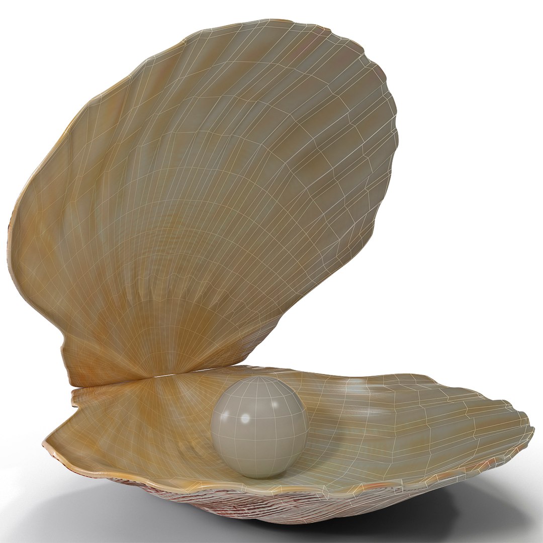 3d 3ds pearl shell https://p.turbosquid.com/ts-thumb/KY/NoFnhF/tGFxXHQe/pearlinshell_7/jpg/1390951927/1920x1080/fit_q87/e351ddf2ef19140a34982459d24768968671e9bf/pearlinshell_7.jpg