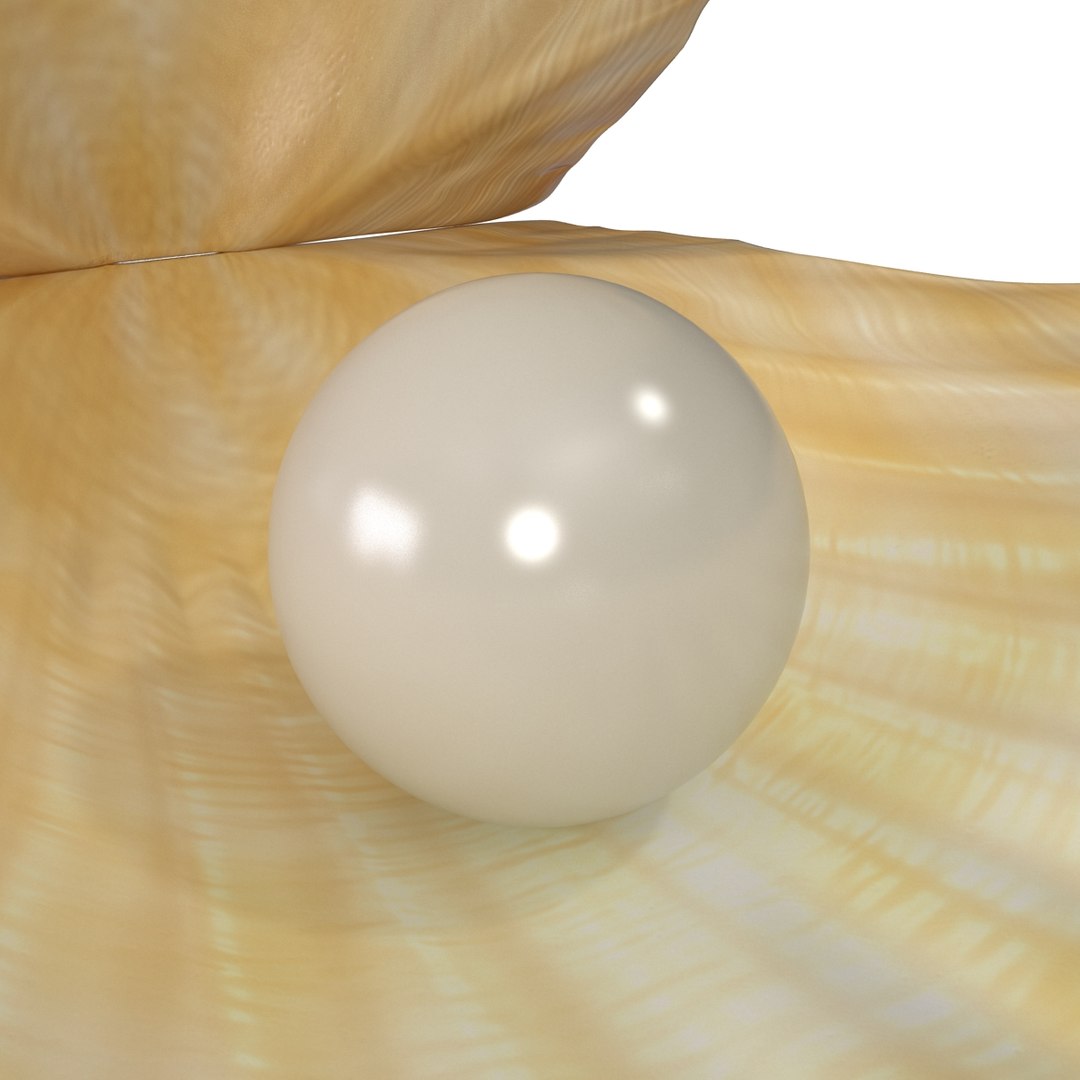 3d 3ds pearl shell https://p.turbosquid.com/ts-thumb/KY/NoFnhF/vhE0Hmlz/pearlinshell_20/jpg/1390951972/1920x1080/fit_q87/19451ec60a2cb9b9af63eb8dcfa9612df1fc0119/pearlinshell_20.jpg