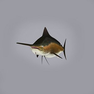 Marlin