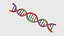 Wissenschaftliche Ikone Spirale der DNA