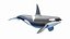 Orca model