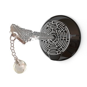 3D labyrinth key model