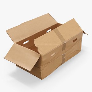 Rectangular Moving Carton Box Damaged 3D