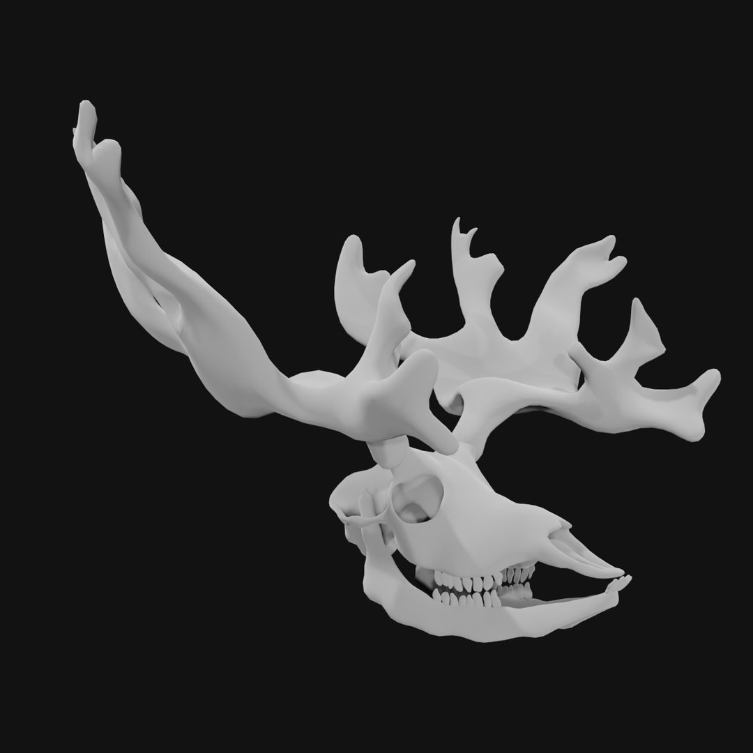 3D Reindeer Skull Model - TurboSquid 1983391