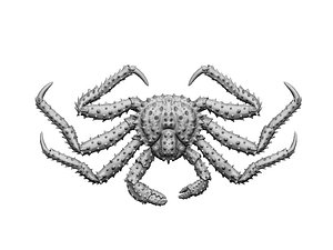 Crab king relief 3d print model 3D print model