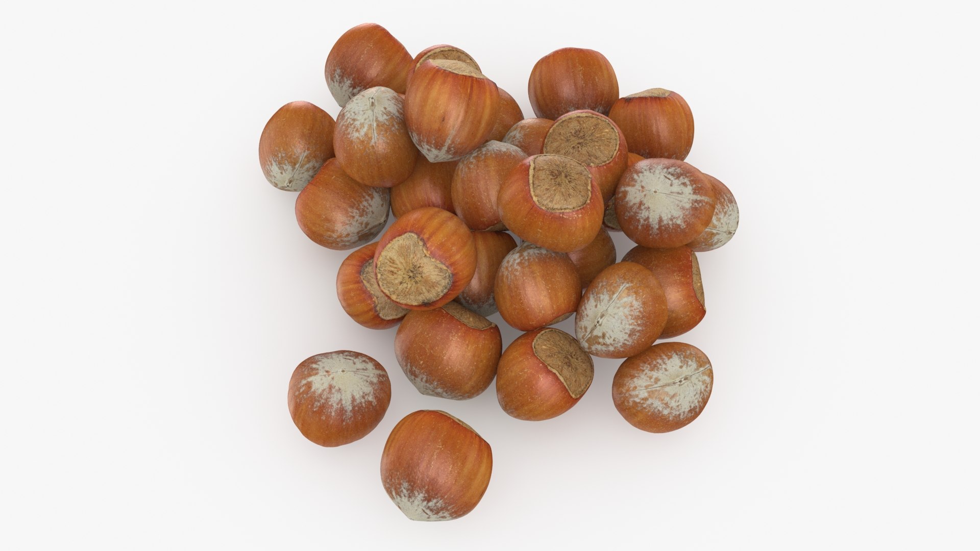 Hazelnuts in Shell 3D model https://p.turbosquid.com/ts-thumb/KZ/oapnL8/5s/hazelnutshell02_b0012/jpg/1728917974/1920x1080/fit_q87/a968f83ffd06a7a4df8c5852b30b4e5b37d34d08/hazelnutshell02_b0012.jpg